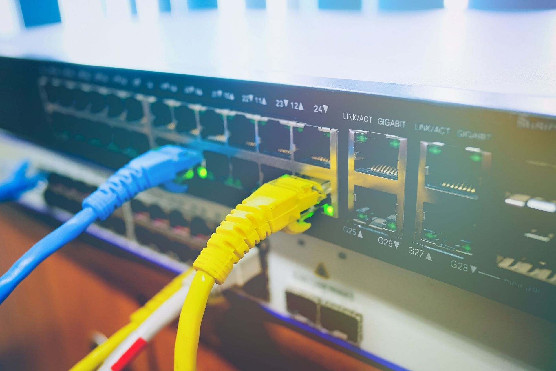 What are the best practices for managing and maintaining bulk internet services and equipment?